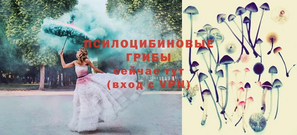 ГАЛЛЮЦИНОГЕННЫЕ ГРИБЫ Абинск