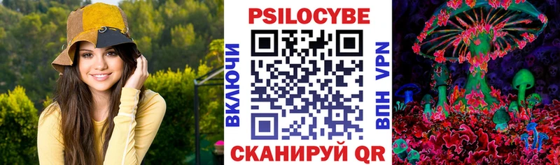 Псилоцибиновые грибы Cubensis  купить закладку  Берёзовка 